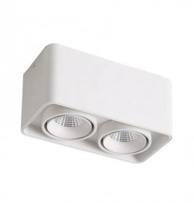 Surface Mounted Downlight Double Module White